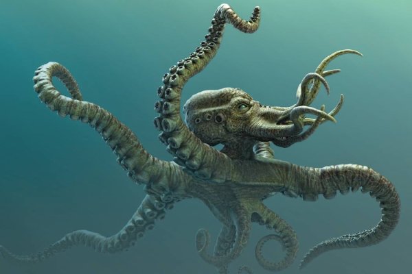 Kraken актуальное