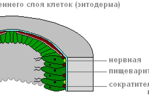 Кракен лег
