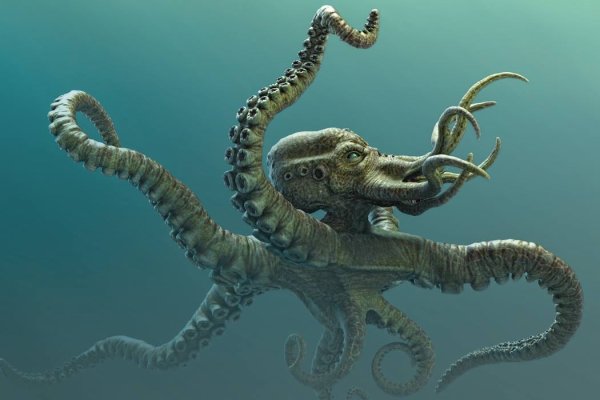 Кракен сайт ссылка kraken clear com